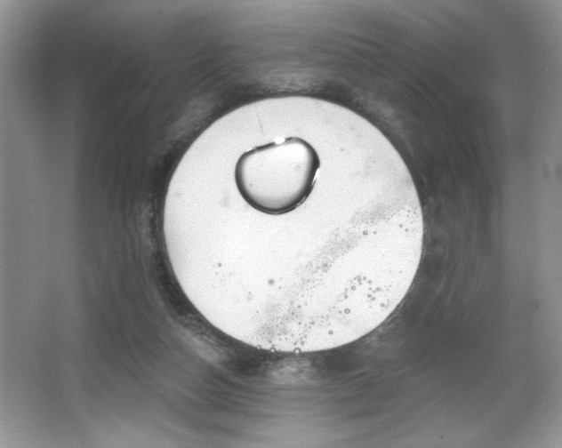 X0000067330162200604030942