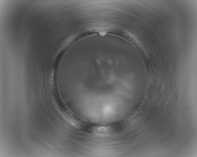 X0000067330163200604030942