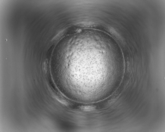 X0000067330165200604030942