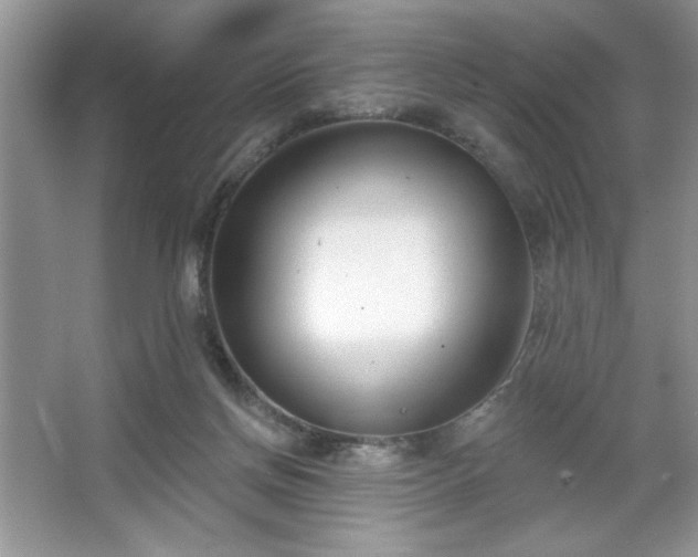 X0000067330166200604030942