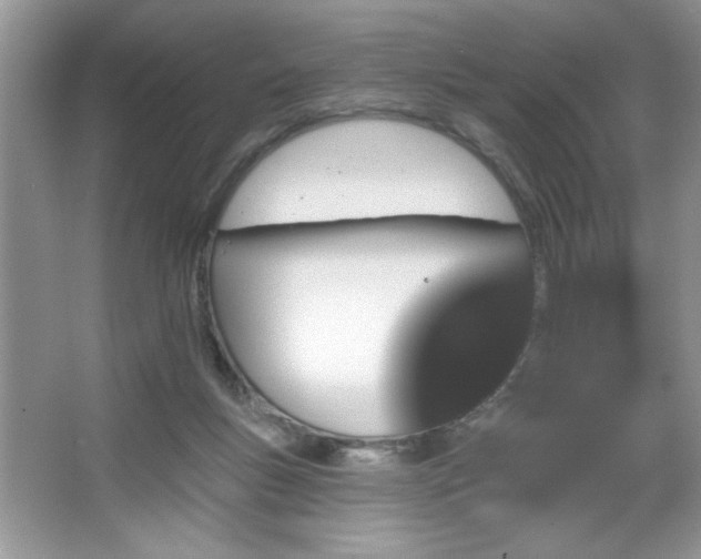 X0000067330167200604030942