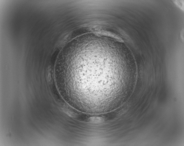 X0000067330169200604030942