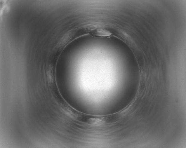 X0000067330170200604030942