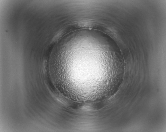 X0000067330171200604030942