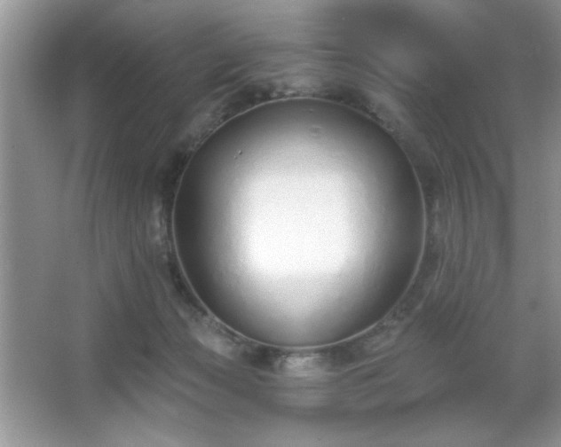 X0000067330173200604030942