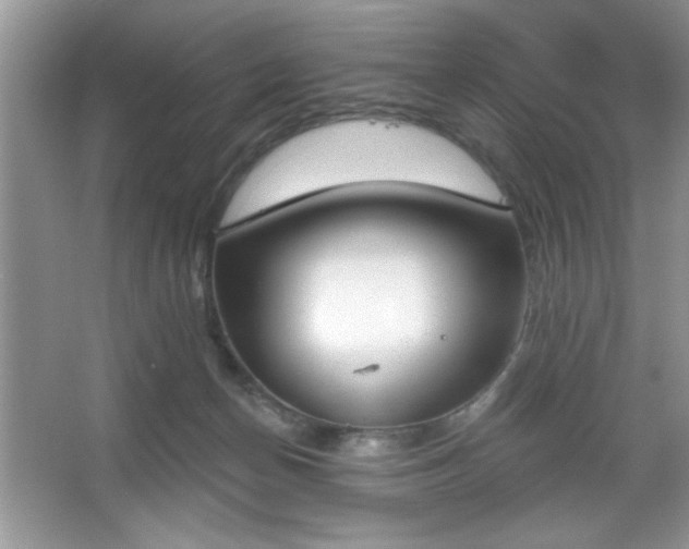 X0000067330174200604030942