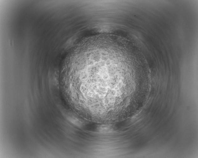 X0000067330175200604030942