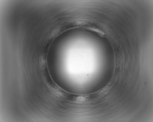 X0000067330176200604030942