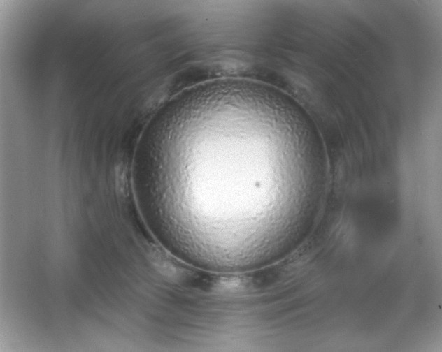 X0000067330177200604030942