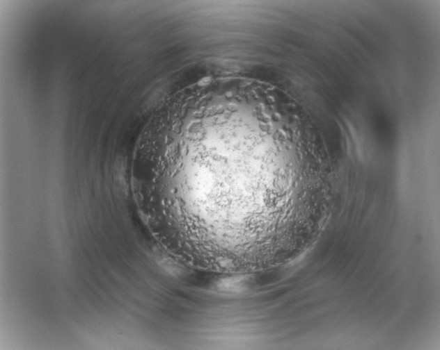 X0000067330178200604030943