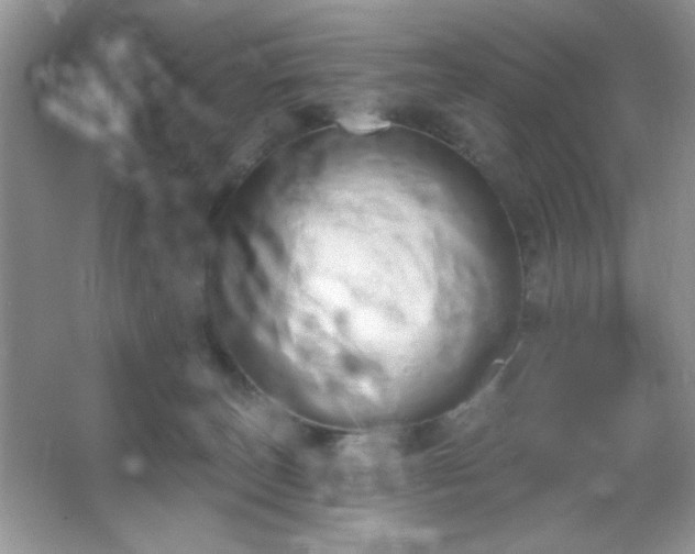 X0000067330179200604030943