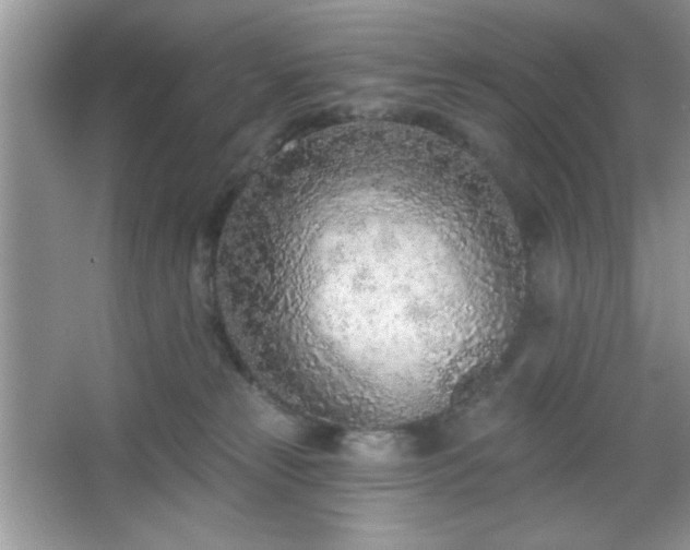 X0000067330181200604030943