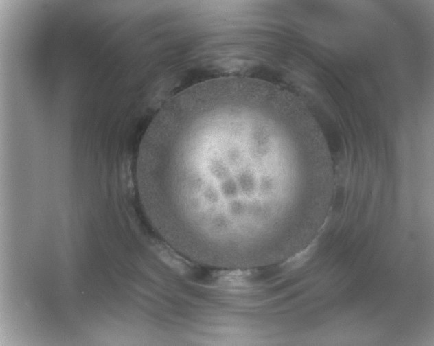 X0000067330182200604030943