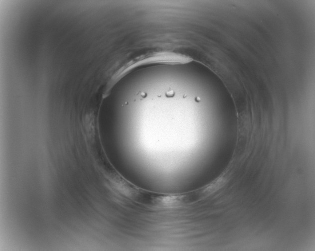 X0000067330184200604030943