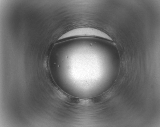 X0000067330185200604030943