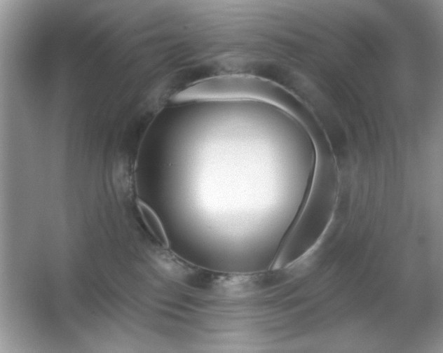 X0000067330186200604030943