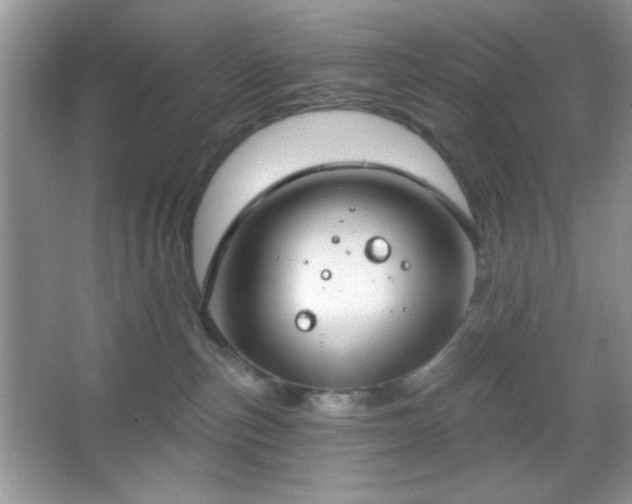 X0000067330187200604030943