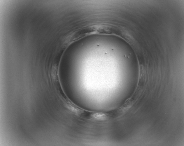 X0000067330189200604030943