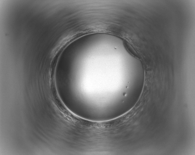 X0000067330194200604030942