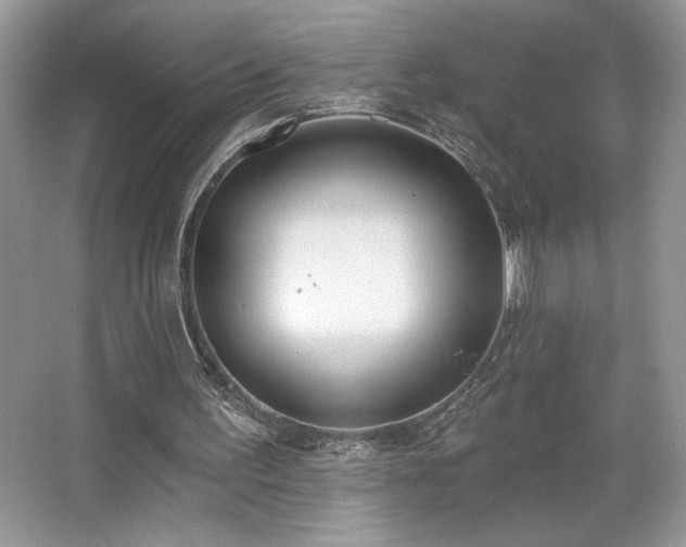 X0000067330195200604030942