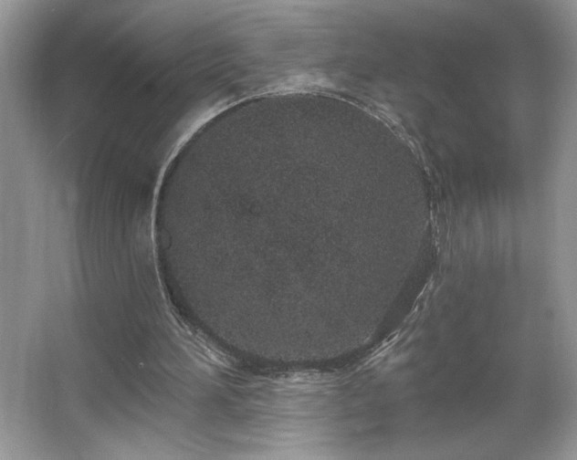 X0000067330196200604030942