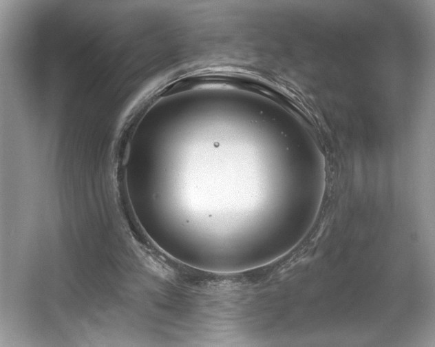 X0000067330197200604030942