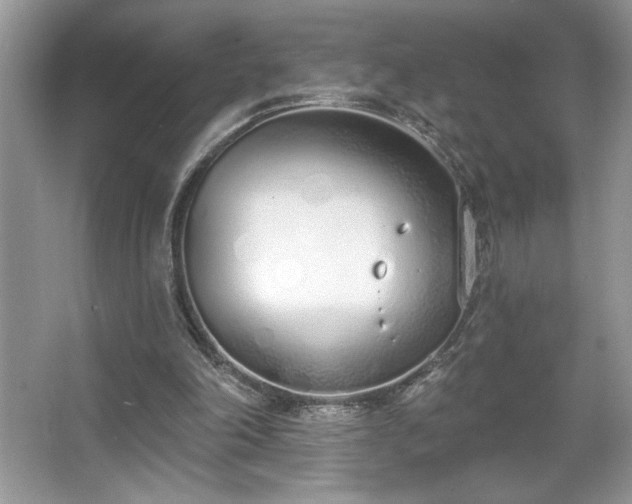 X0000067330198200604030942