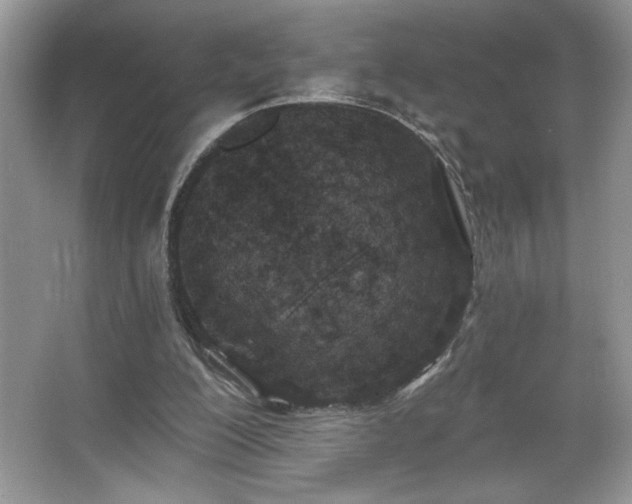 X0000067330200200604030942