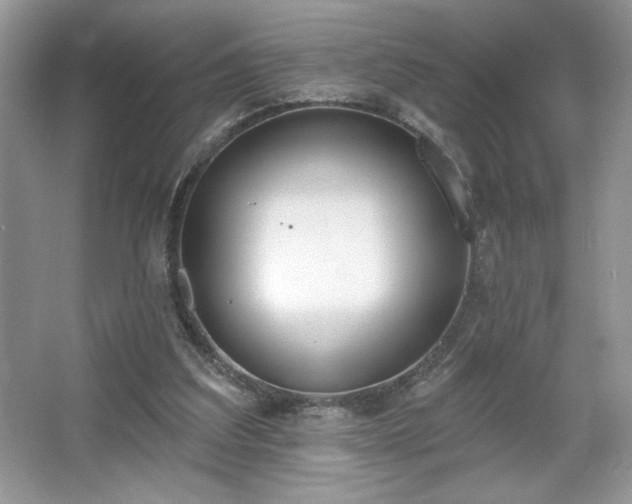 X0000067330203200604030942