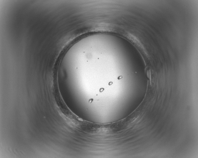 X0000067330204200604030942