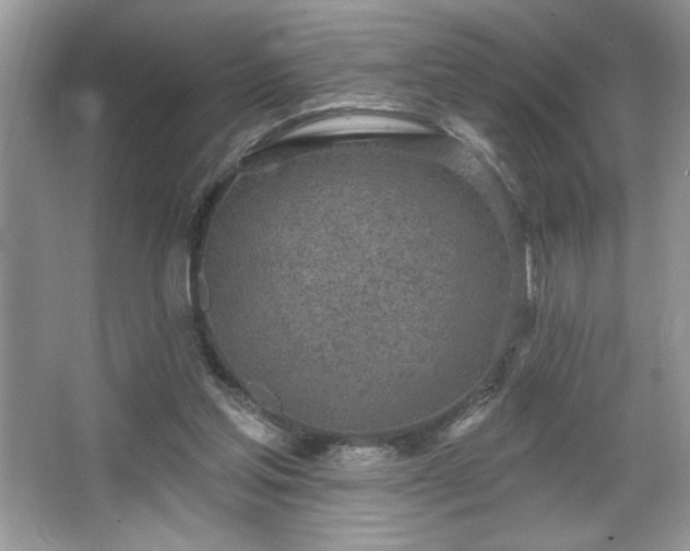 X0000067330205200604030942