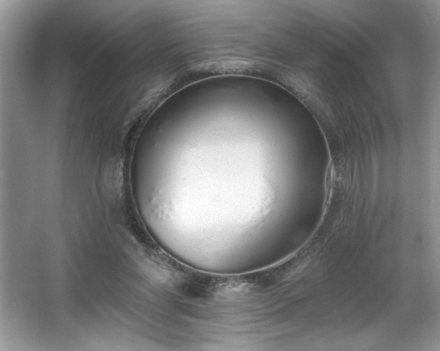 X0000067330206200604030942