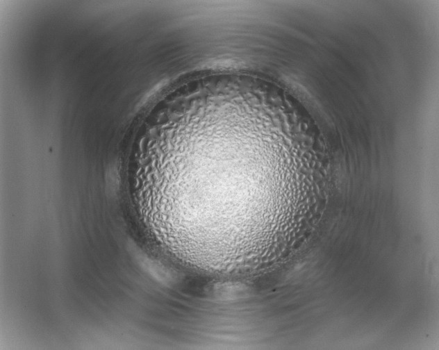 X0000067330208200604030942