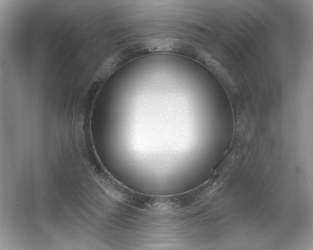 X0000067330209200604030942