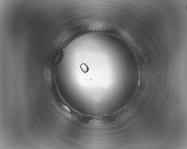 X0000067330211200604030942