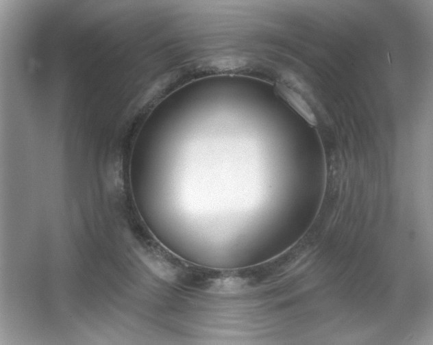 X0000067330212200604030942