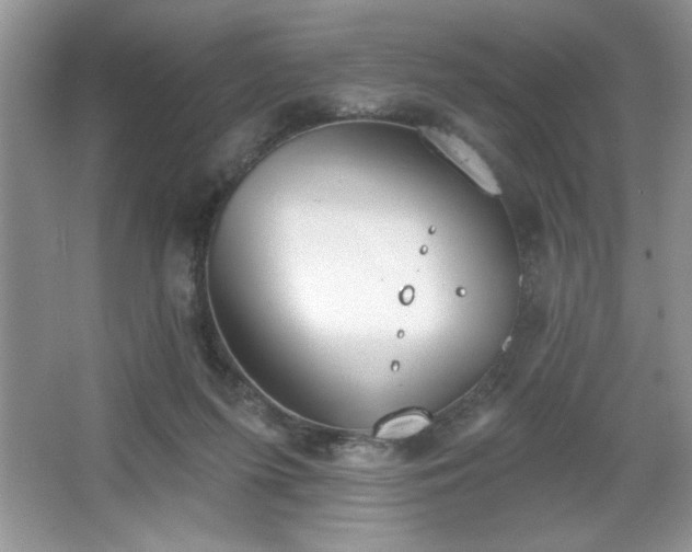 X0000067330215200604030942