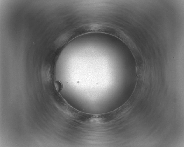 X0000067330216200604030942