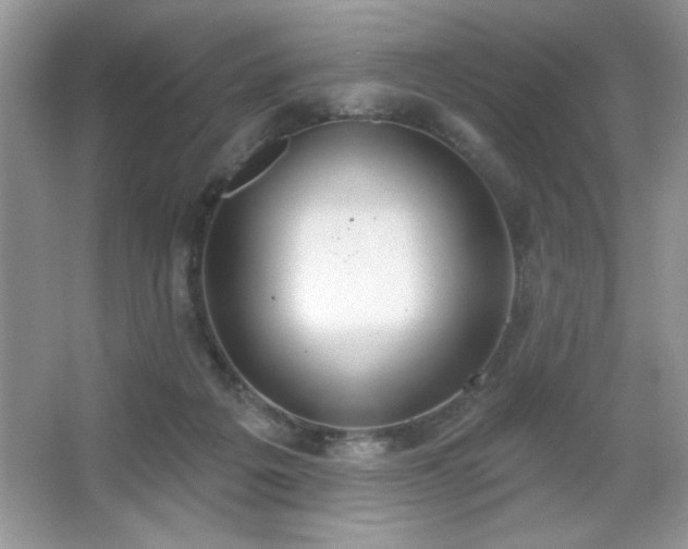 X0000067330217200604030942