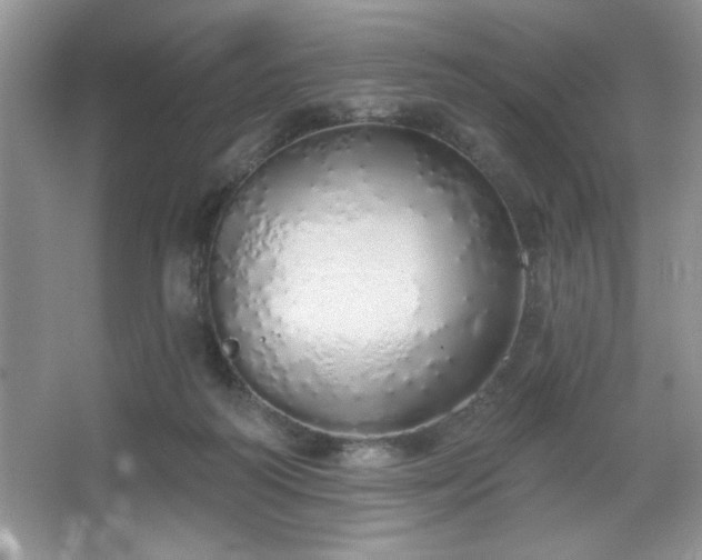 X0000067330218200604030942