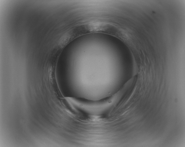 X0000067330219200604030941