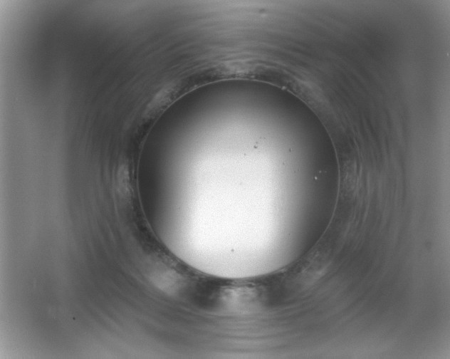 X0000067330220200604030941