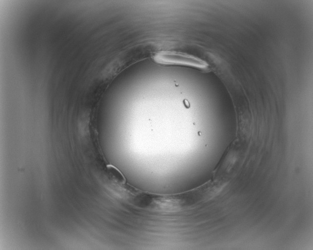 X0000067330221200604030941