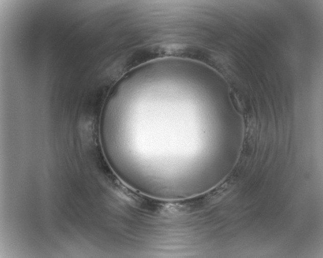 X0000067330222200604030941