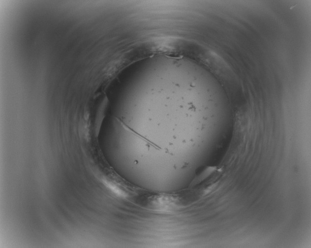 X0000067330223200604030941