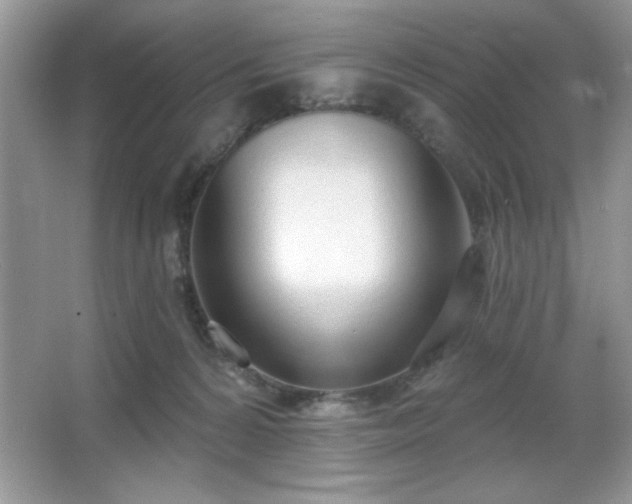 X0000067330224200604030941