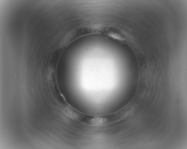 X0000067330225200604030941