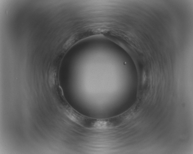 X0000067330227200604030941