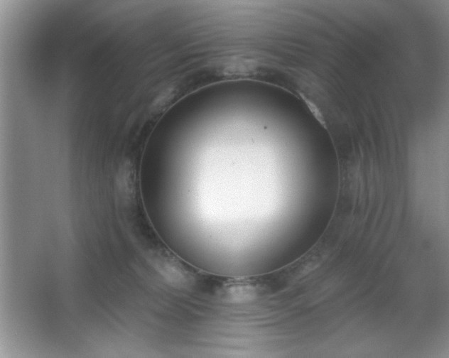 X0000067330228200604030941