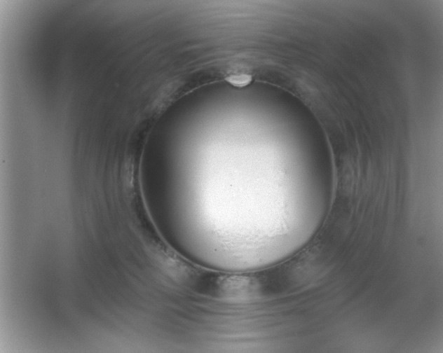 X0000067330230200604030941